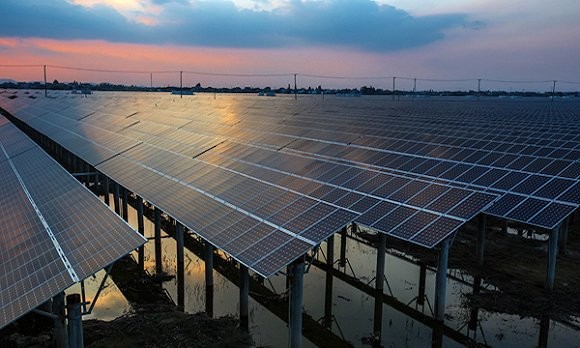 【圍觀】如果早點(diǎn)了解漁光互補(bǔ) 3萬斤魚就不會(huì)被燙死