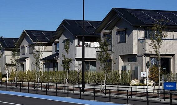 【圍觀】防暑降溫“神器” 你家屋頂裝了嗎？