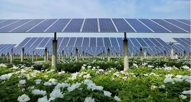 工信部等三部門“出手”約談硅料企業 光伏產業將迎新變局？